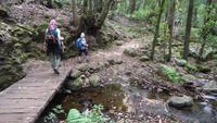 La Gomera /  beim Wandern