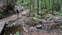 La Gomera /  beim Wandern