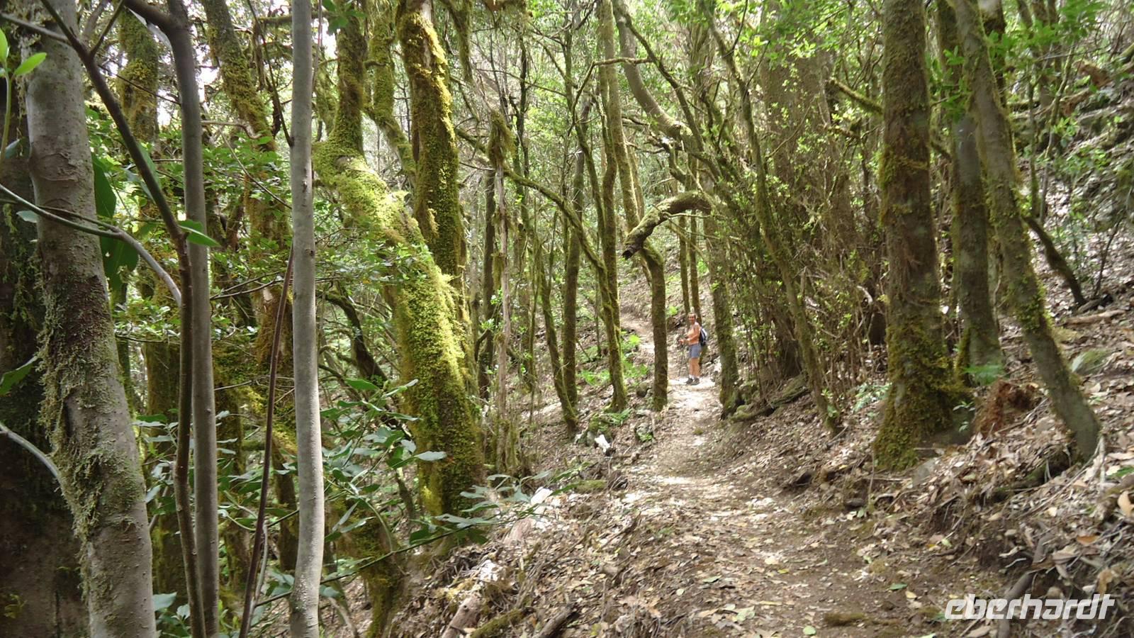 La Gomera /  beim Wandern