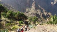 Masca Schlucht Wanderung