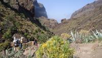 Masca Schlucht Wanderung