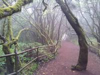 La Gomera