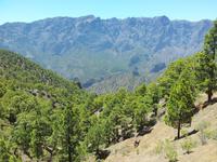 La Caldera de Tabueriente - La Palma