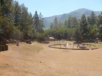 Überraschung von Eberhardt - BBQ