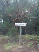 705_Cruz del Carmen