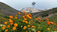 Inselhüpfen auf den Kanaren - Teneriffa - Garachico