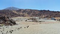 Inselhüpfen auf den Kanaren - Teneriffa - Parque Nacional de El Teide