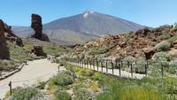 Inselhüpfen auf den Kanaren - Teneriffa - Parque Nacional de El Teide