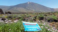 Inselhüpfen auf den Kanaren - Teneriffa - Parque Nacional de El Teide
