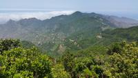 Inselhüpfen auf den Kanaren - Teneriffa - Anaga Gebirge - Taganana
