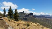 Inselhüpfen auf den Kanaren - Gran Canaria - Tejeda Pass