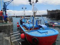 Inselhüpfen auf den Kanaren - Teneriffa - Puerto de la Cruz