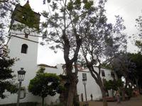 Inselhüpfen auf den Kanaren - Teneriffa - Icod de los Vinos