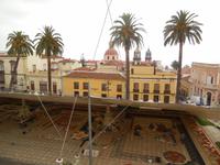 Inselhüpfen auf den Kanaren - Teneriffa - La Orotova