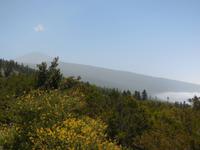 Inselhüpfen auf den Kanaren - Teneriffa - Parque Nacional de El Teide
