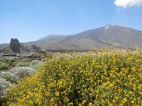 Inselhüpfen auf den Kanaren - Teneriffa - Parque Nacional de El Teide