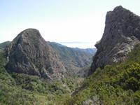 Inselhüpfen auf den Kanaren - La Gomera - Garajonay Nationalpark