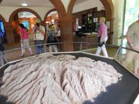 Inselhüpfen auf den Kanaren - La Gomera - Garajonay Nationalpark