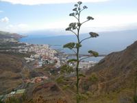 Inselhüpfen auf den Kanaren - La Palma