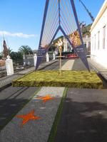 Inselhüpfen auf den Kanaren - La Palma - Mazo