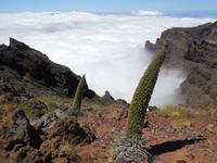 Inselhüpfen auf den Kanaren - La Palma - Caldera de Taburiente