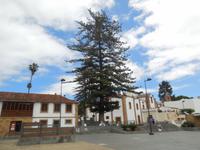 Inselhüpfen auf den Kanaren - Gran Canaria - Teror