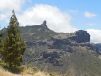 Inselhüpfen auf den Kanaren - Gran Canaria - Tejeda Pass