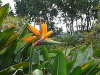 Besucherzentrum Garajonay