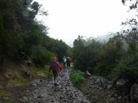 Wanderung durch den Märchenwald