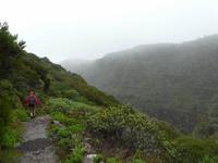 Wanderung durch den Märchenwald