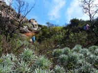 Wanderung durch den Märchenwald