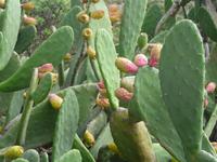 Wanderung durch den Märchenwald