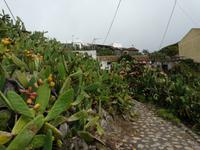 Wanderung durch den Märchenwald