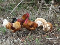 Der wilde Nordwesten - entlang der Hirtenpfade