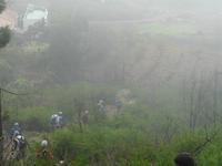 Hirtenpfad - hinauf auf Garajonay und Fortalezza