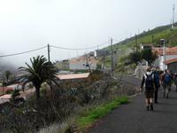 Hirtenpfad - hinauf auf Garajonay und Fortalezza