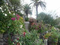 Hirtenpfad - hinauf auf Garajonay und Fortalezza