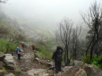 Im Palmental - der Süden von La Gomera