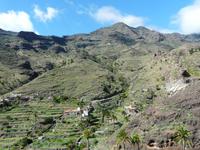 Im Palmental - der Süden von La Gomera