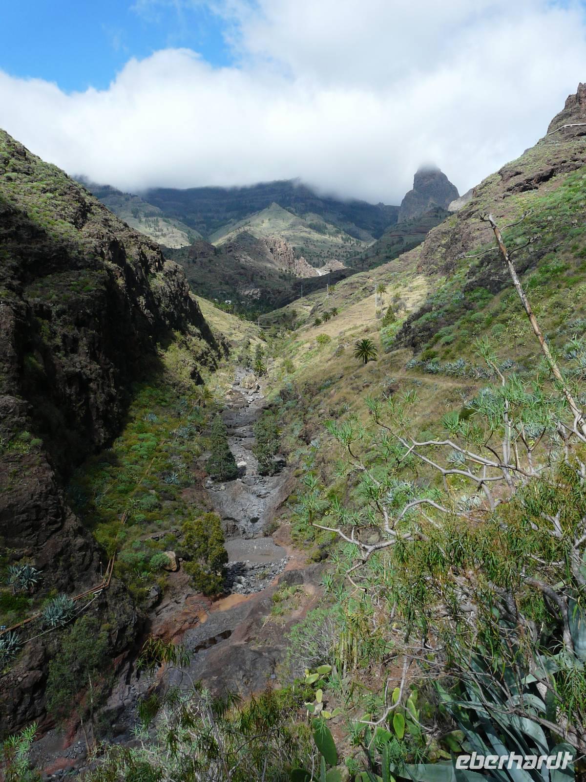 Im Palmental - der Süden von La Gomera