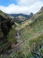 Im Palmental - der Süden von La Gomera