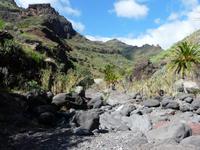 Im Palmental - der Süden von La Gomera