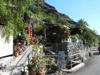 Im Palmental - der Süden von La Gomera