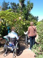 605_La Gomera; NP Garajonay