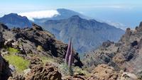 La Palma - Rundreise – Inselhüpfen auf den Kanaren