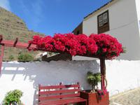 Agulo (10)