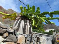 Agulo (5)