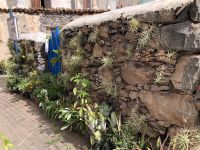 Agulo 