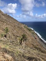 Agulo
