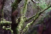 Anaga-Gebirge